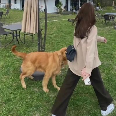 圣殿领唱的幸福指南