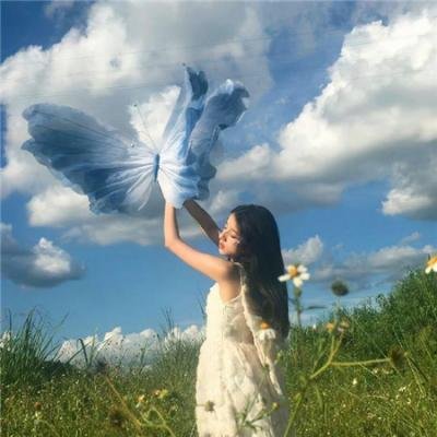 第16届华表奖